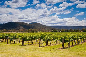 Book your Hunter Valley accommodation