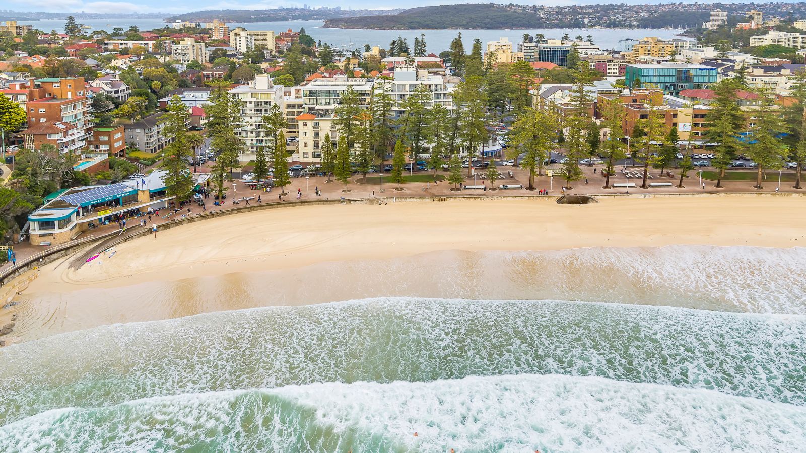 Manly Beach 