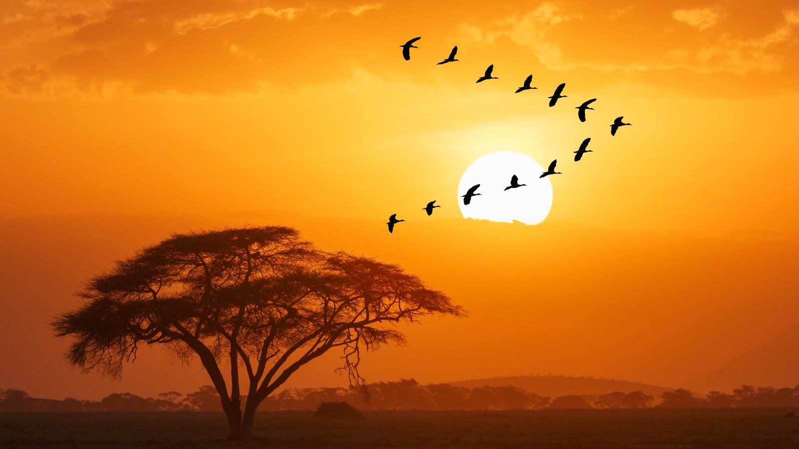 Destination  - Kenya