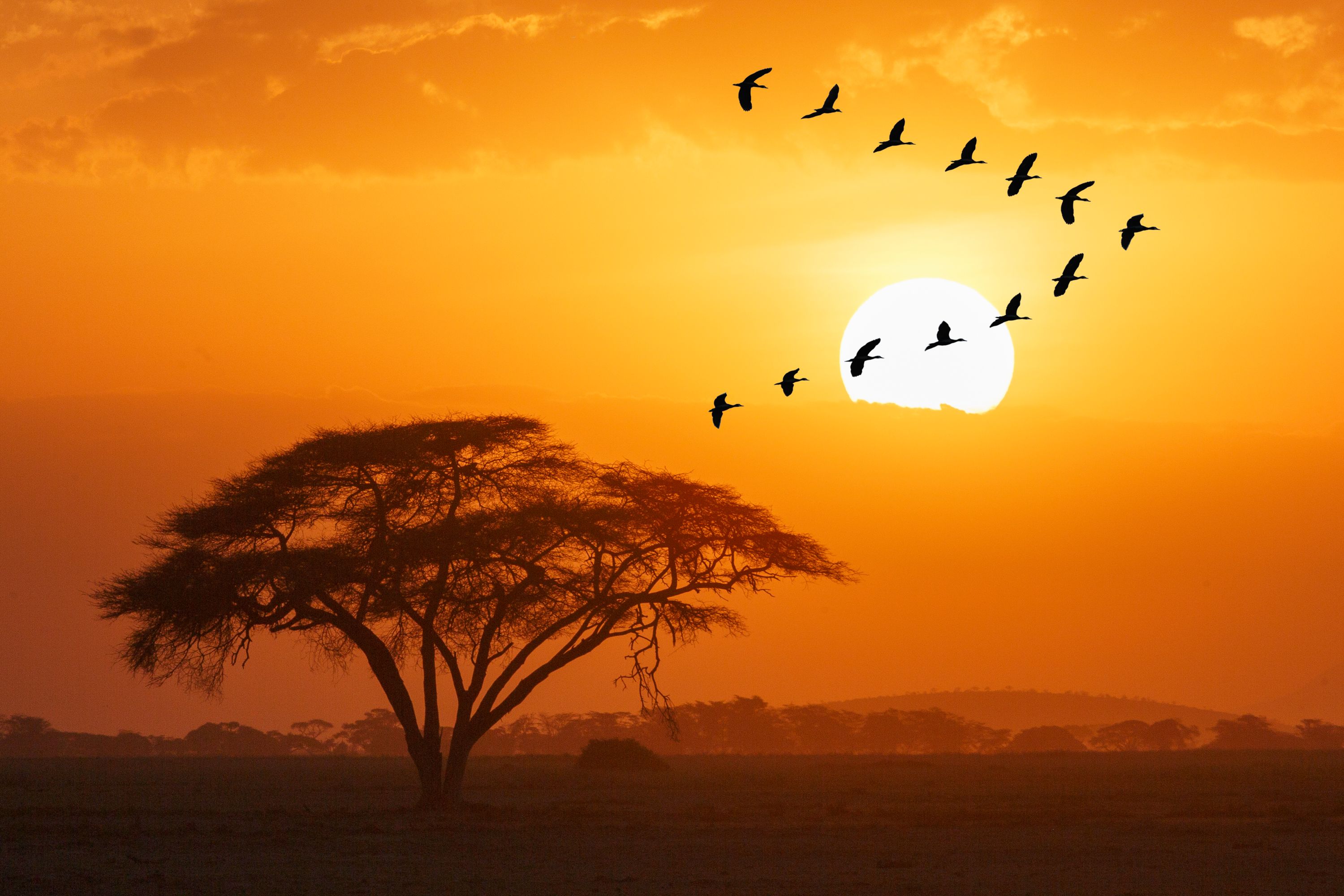 Destination  - Kenya