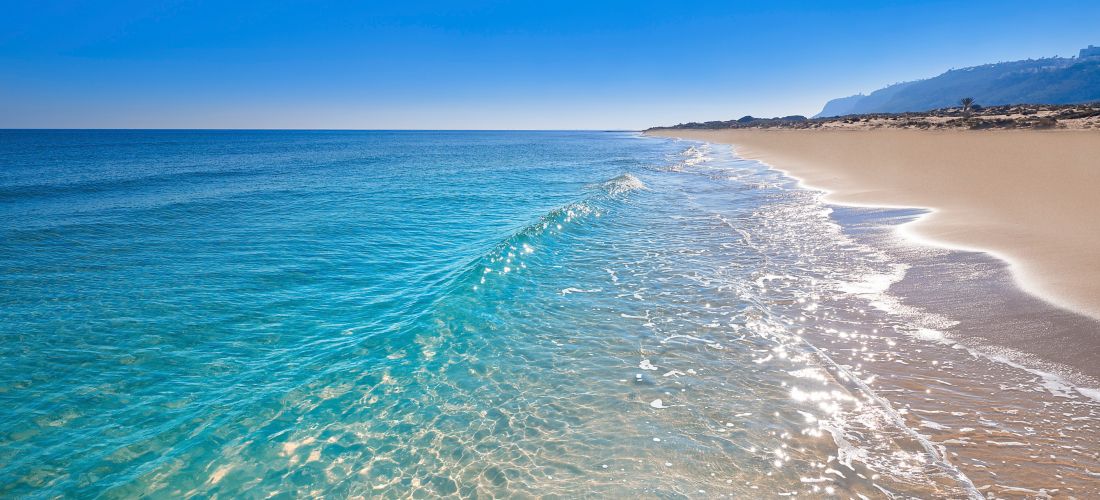 Destination Elche - Spain