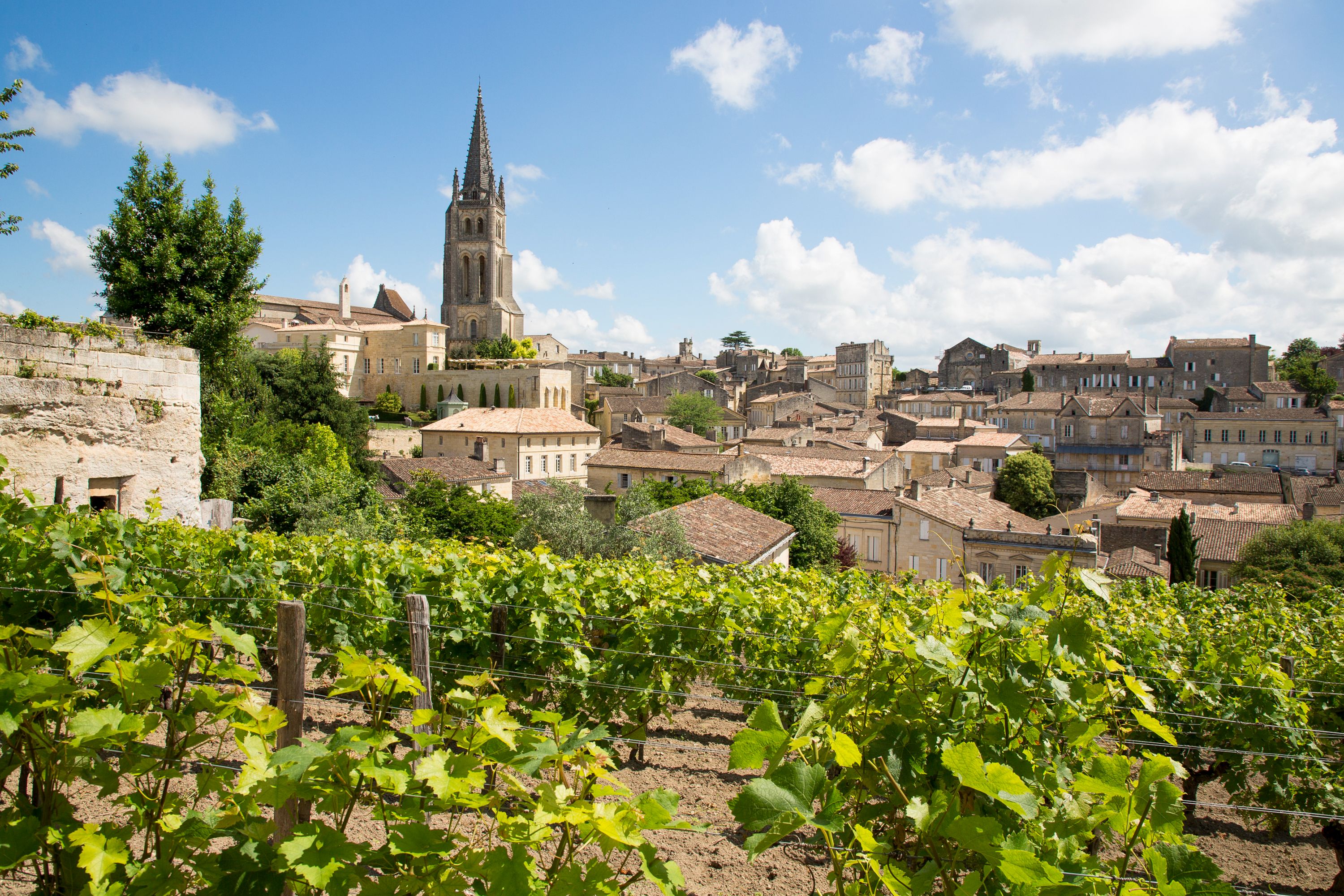 Destination Saint Emilion - France