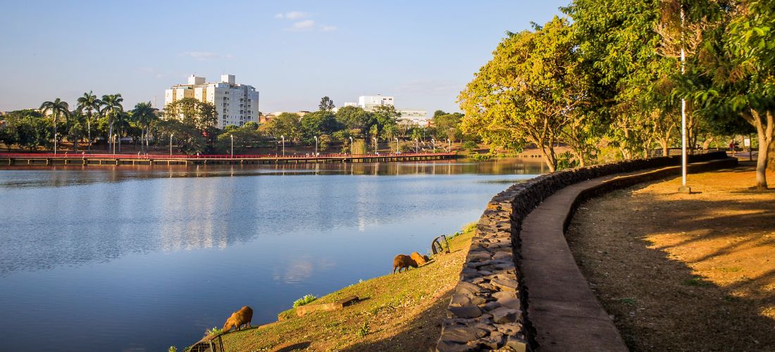 Destination São Jose Do Rio Preto - Brazil