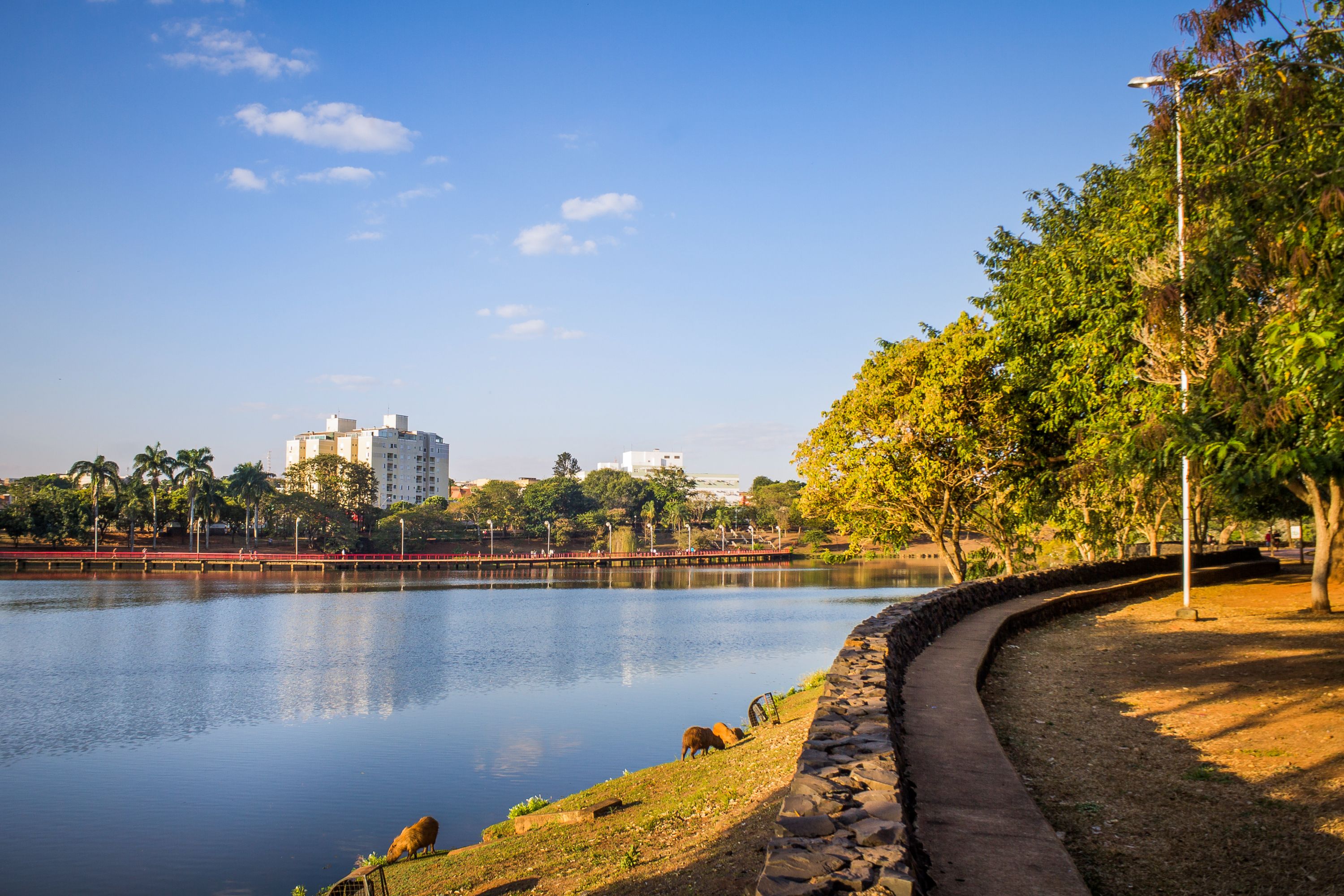 Destination São Jose Do Rio Preto - Brazil