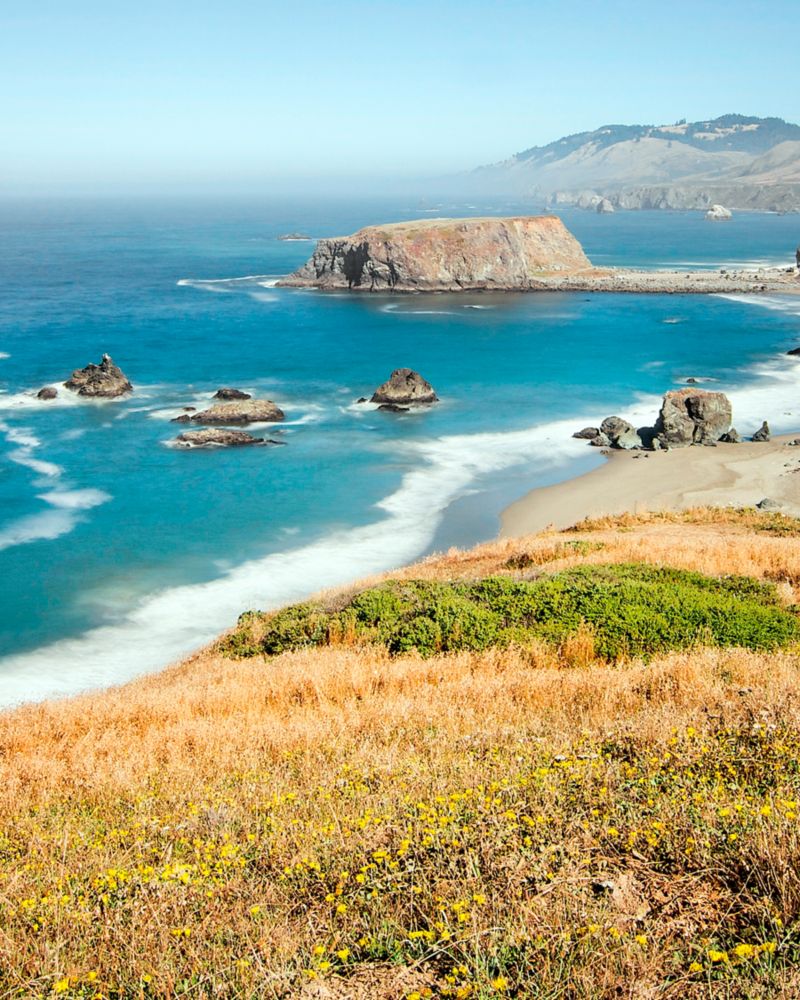 Rolling hillside with amber vineyard vines and crisp blue skies