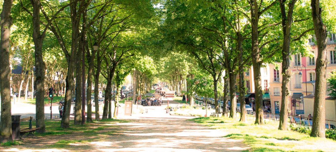 Destination Versailles - France