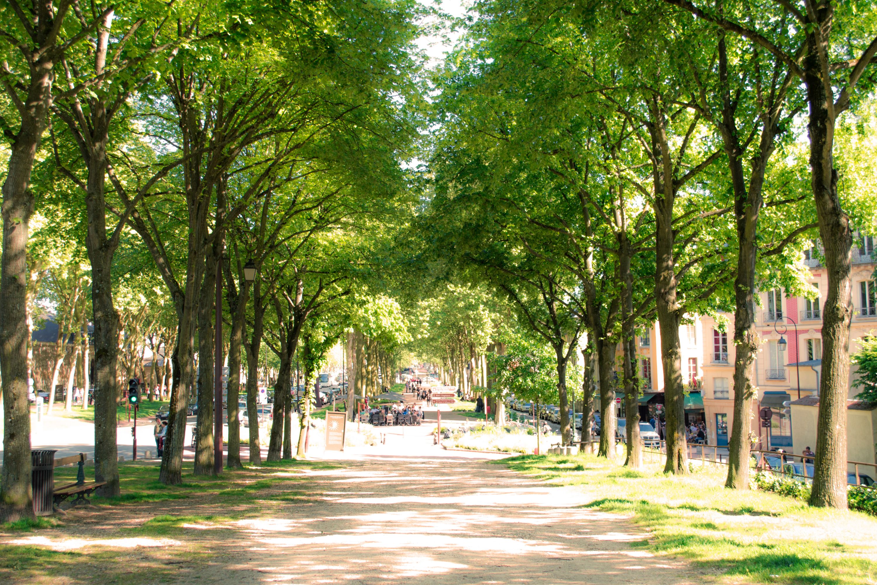 Destination Versailles - France