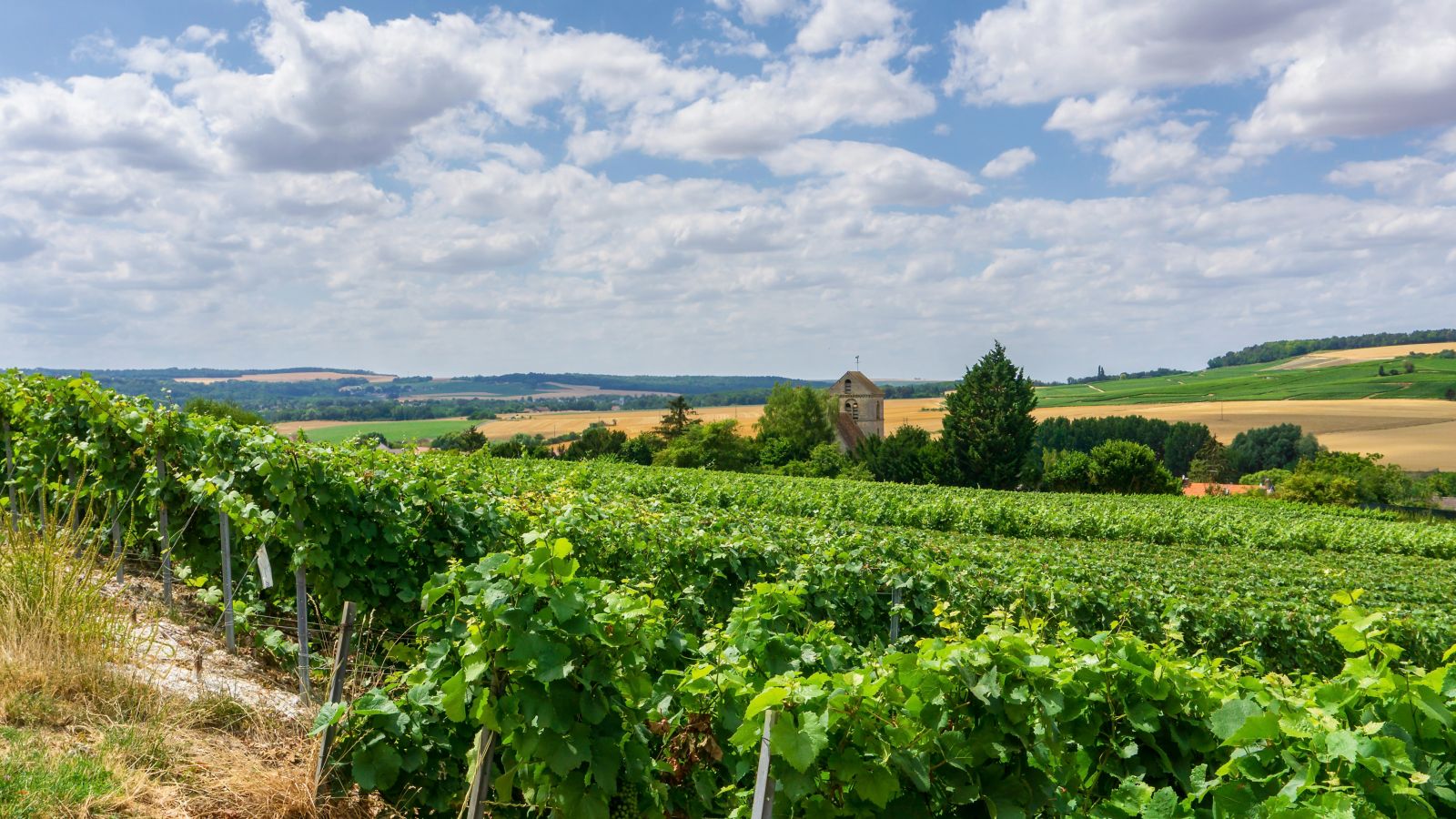 Destination Essomes sur Marne - France
