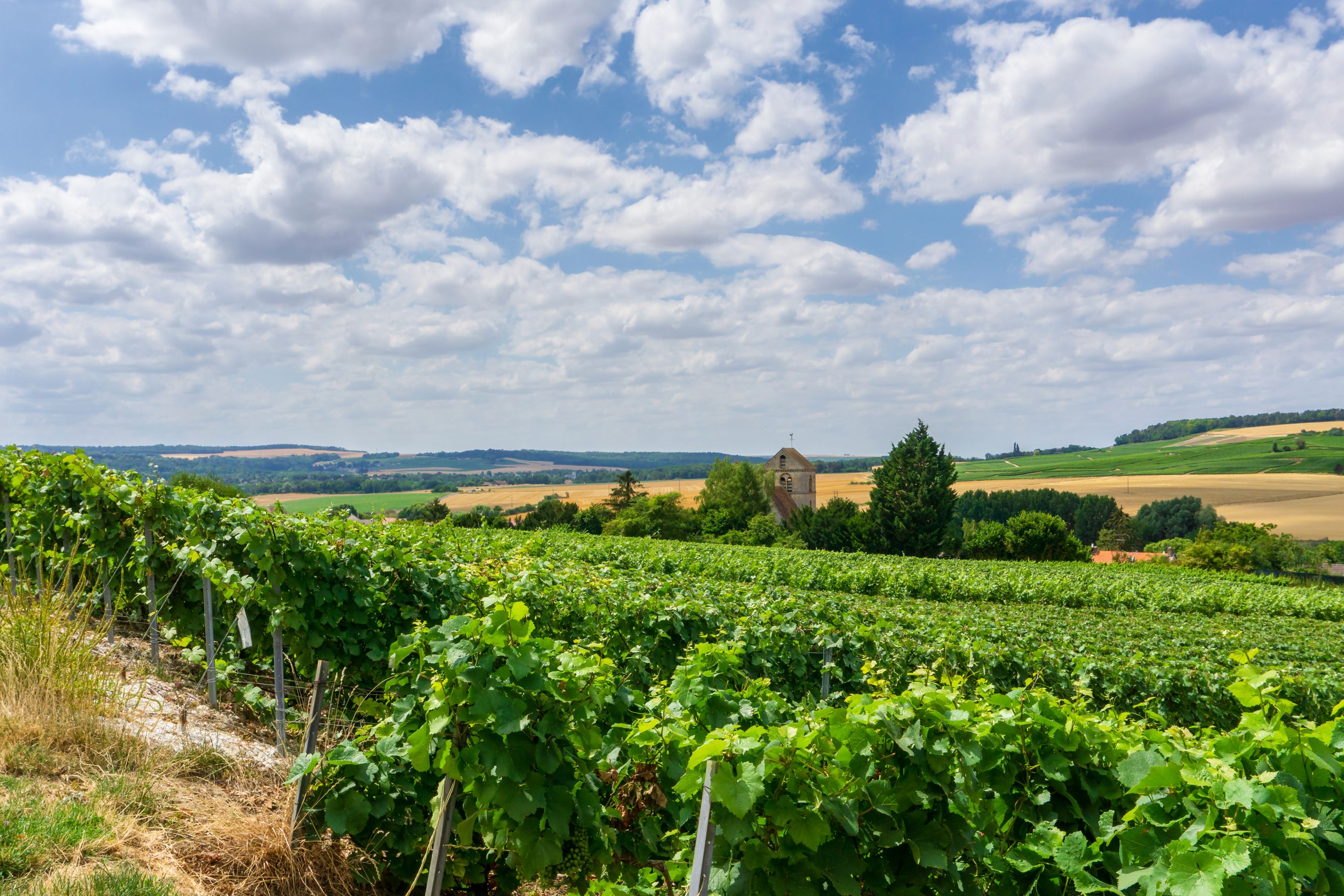 Destination Essomes sur Marne - France