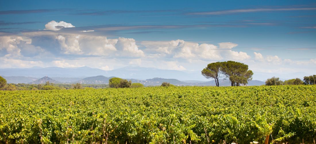 Destination Le Cannet des Maures - France