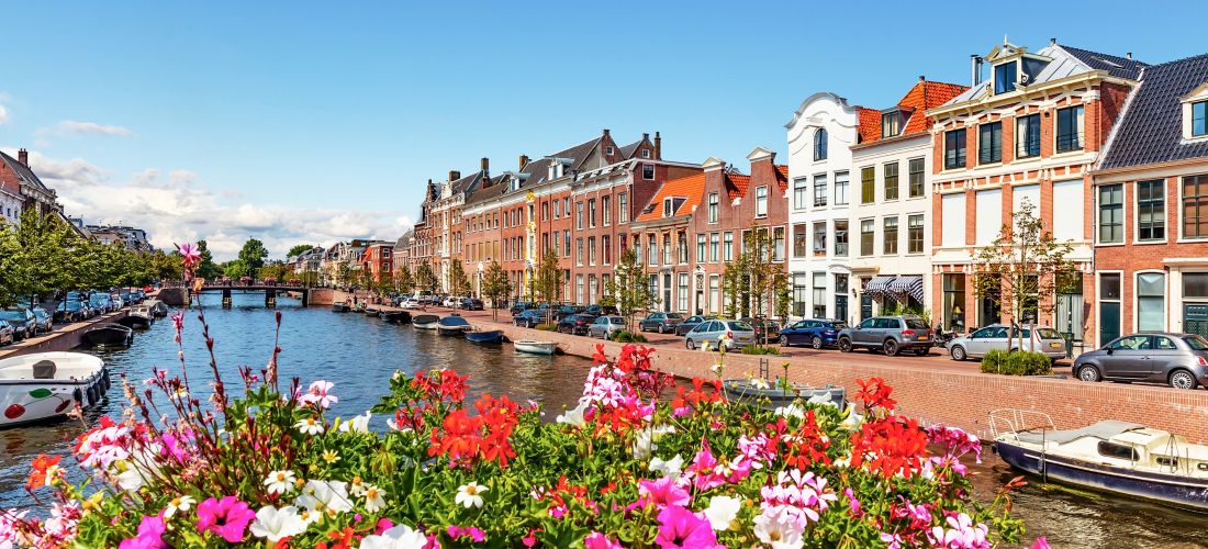 Destination Haarlem 1030822754 - The Nederlands