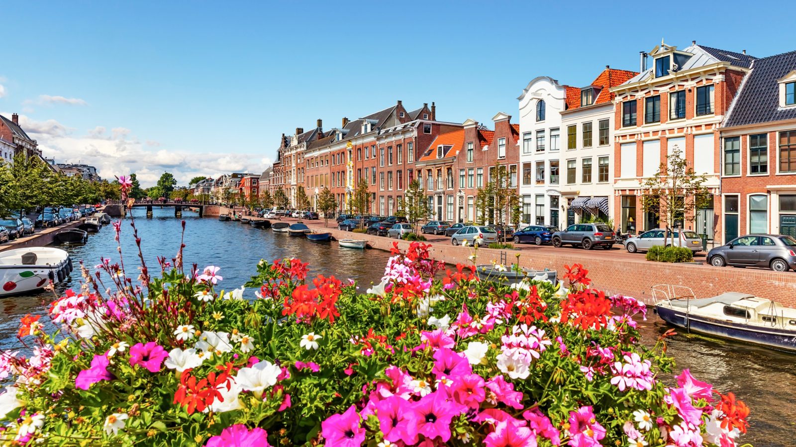 Destination Haarlem 1030822754 - The Nederlands