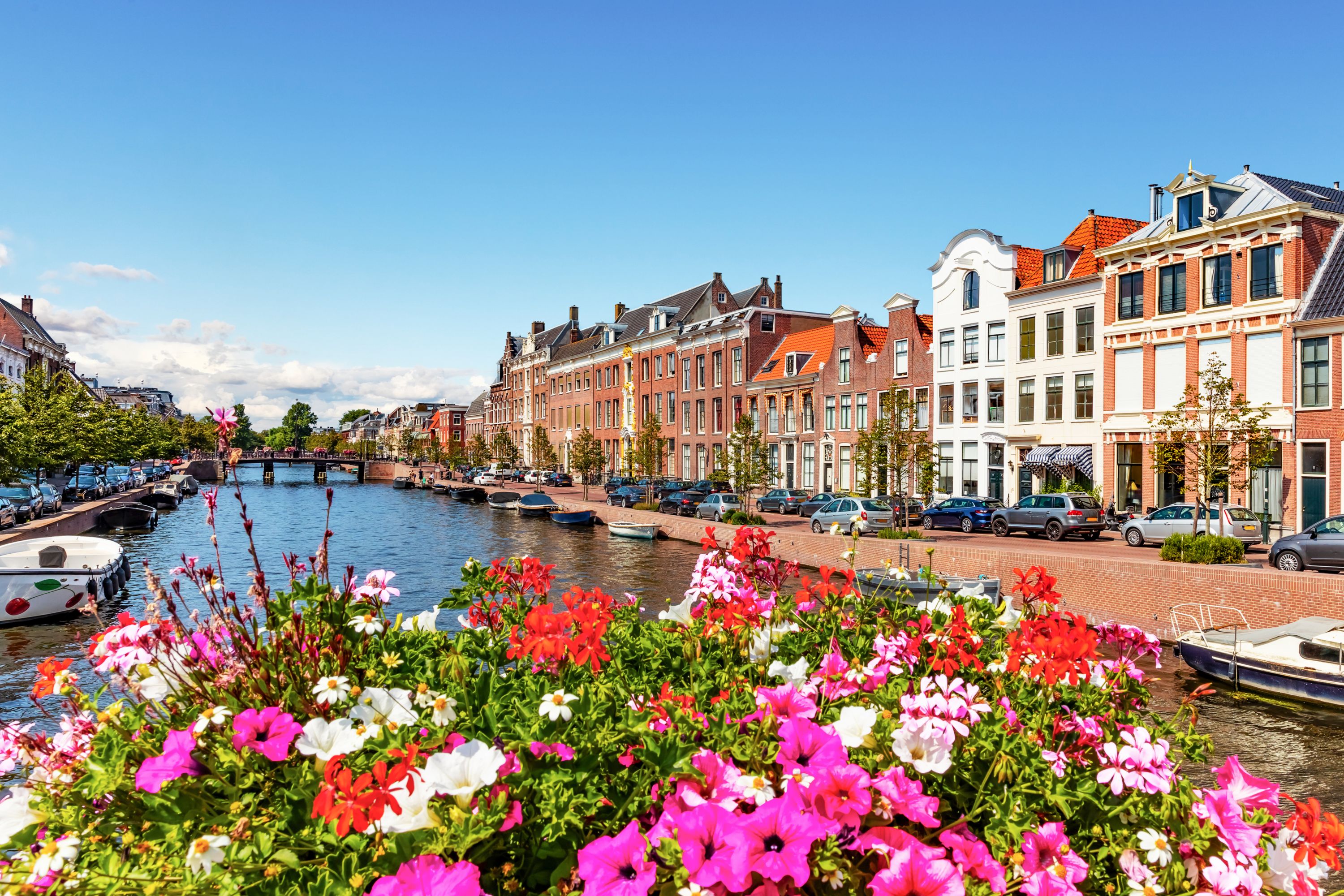 Destination Haarlem 1030822754 - The Nederlands