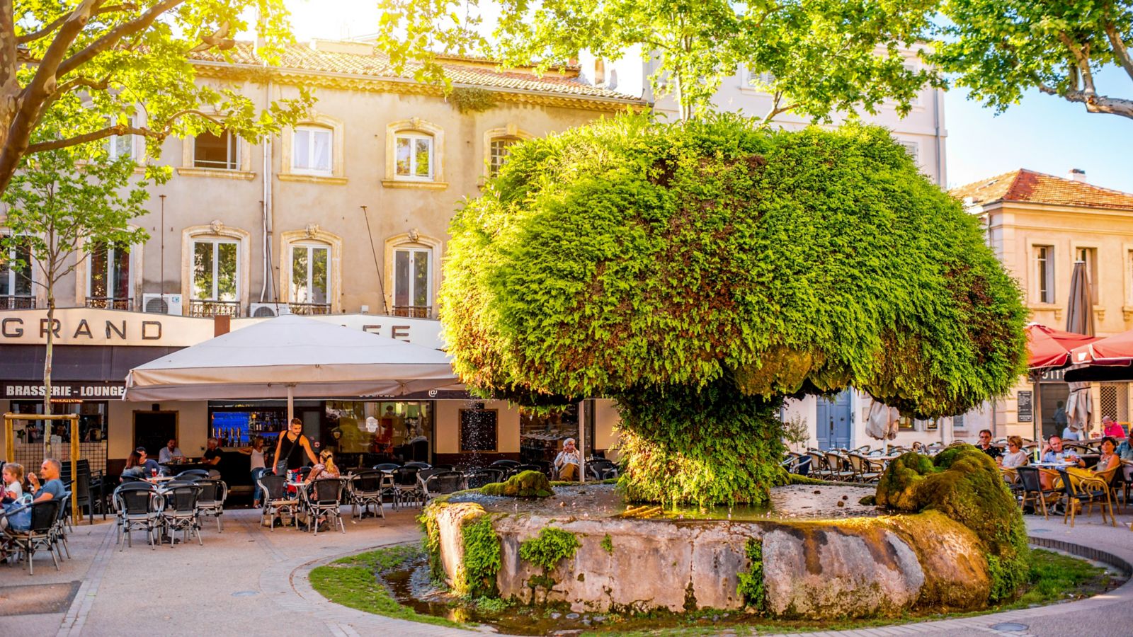 Destination Salon-De-Provence 612226818 - France