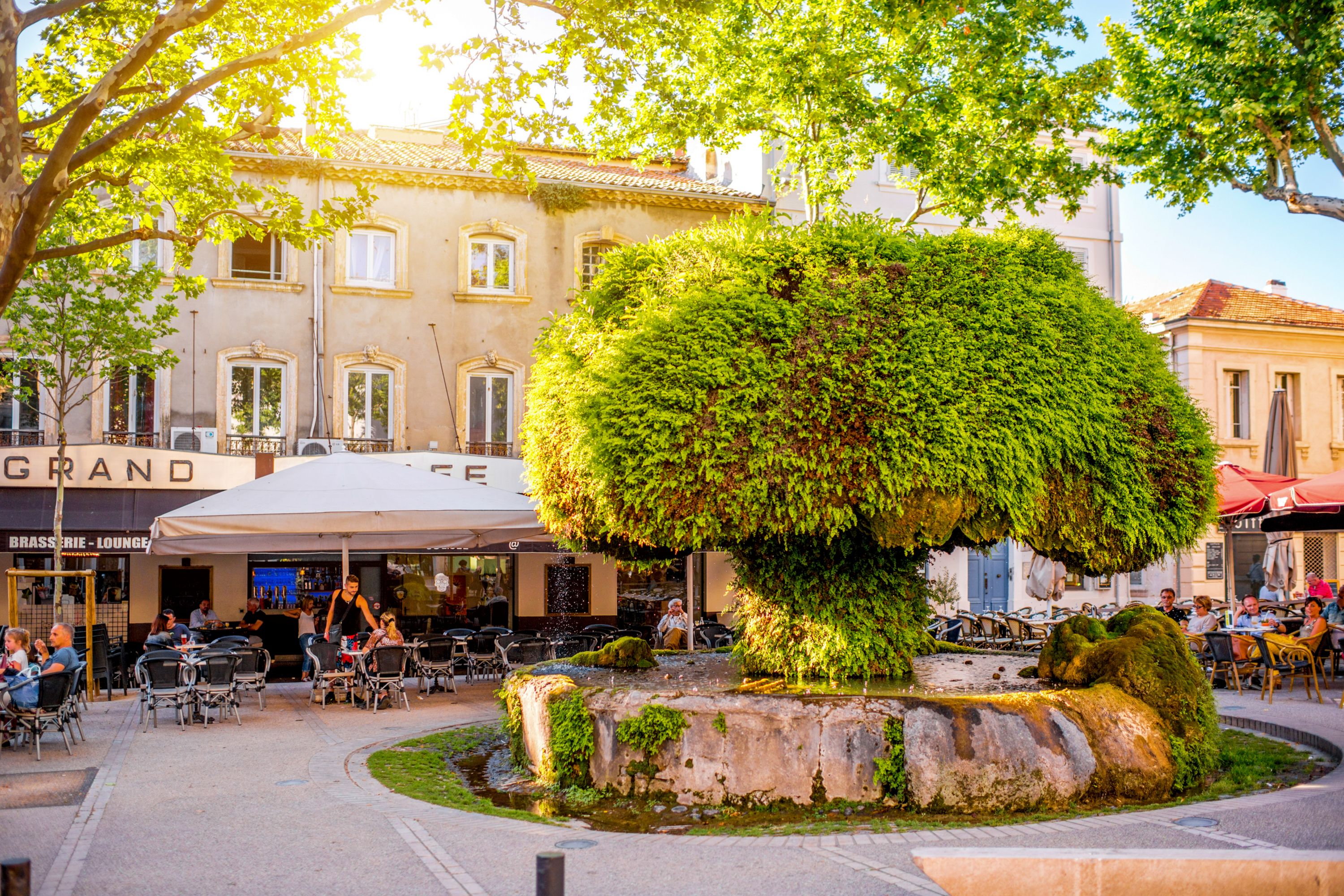 Destination Salon-De-Provence 612226818 - France