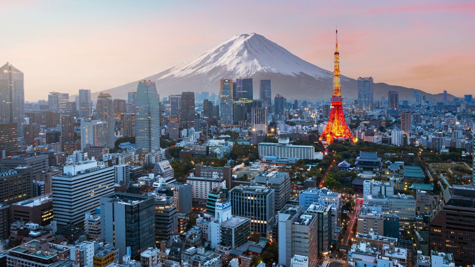 Destination Tokyo - Japan