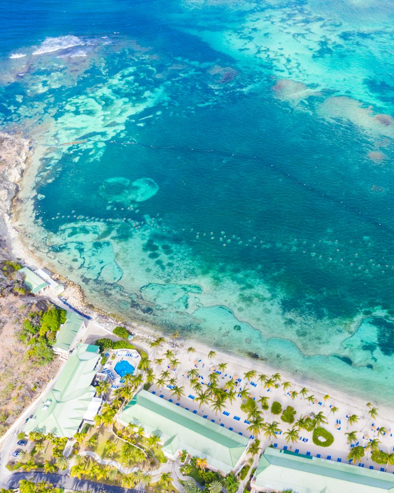 Aproveite bônus de 1.000 pontos Reward