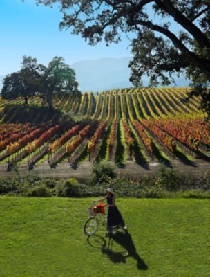 Women walking through vineyards
