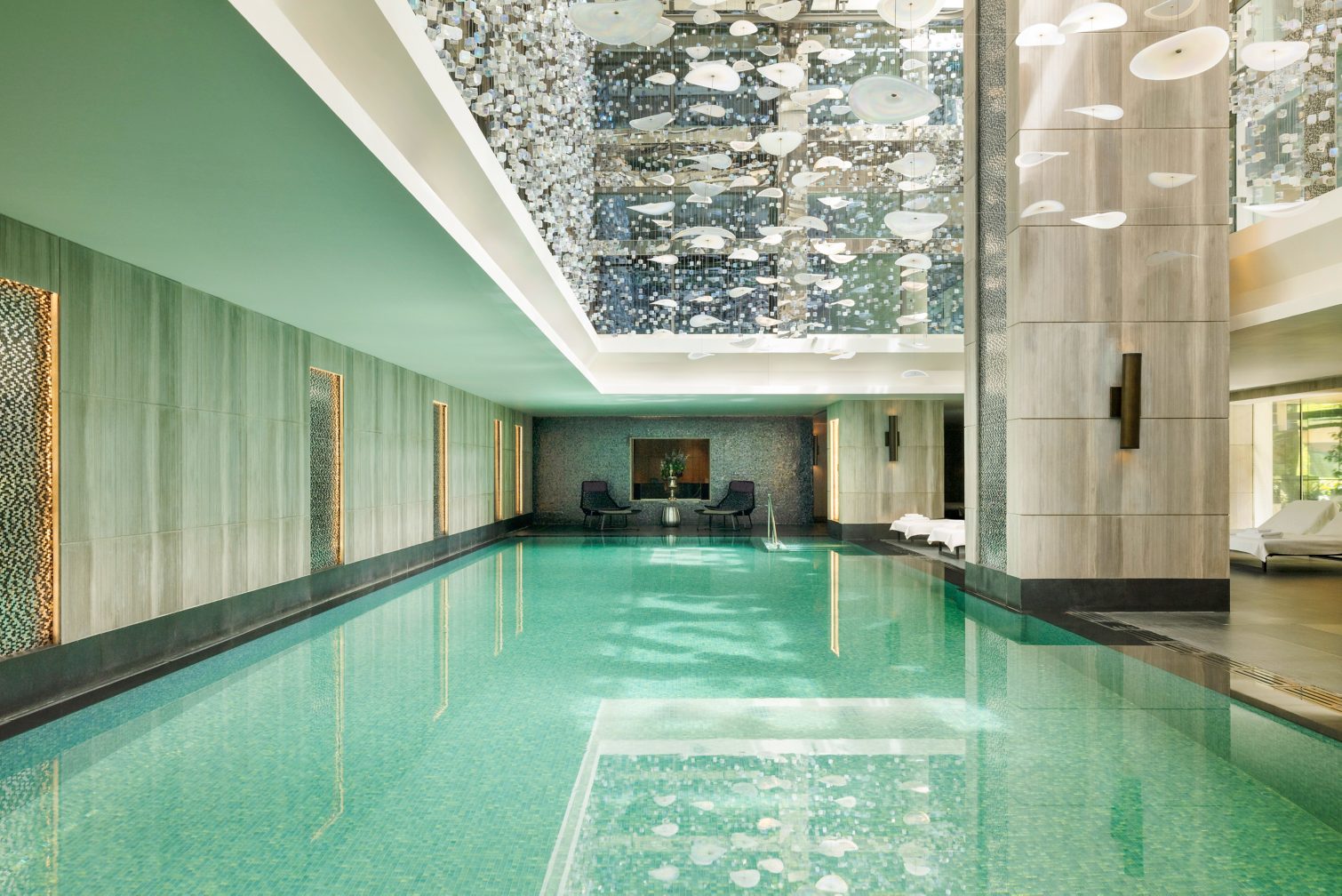 シペリウジウム　カルルム　【蘭科　アツモリ草属】シンガポール　ラッフルズホテル ラッフルズ ホテル - Luxury Hotels and Resorts