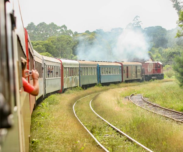 Passeio de trem em Curitiba 2