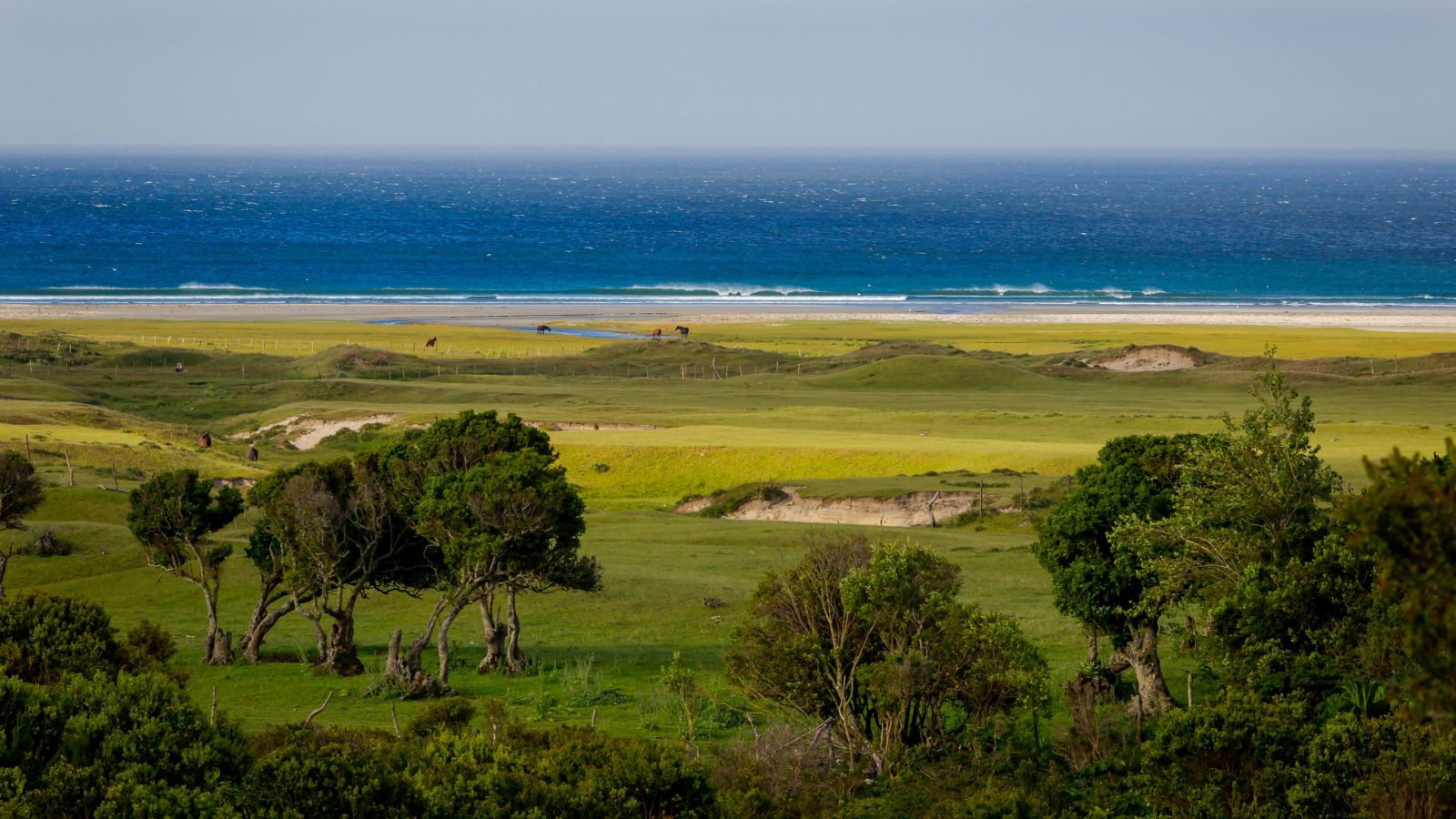 bio bio chile, region bio bio chile 