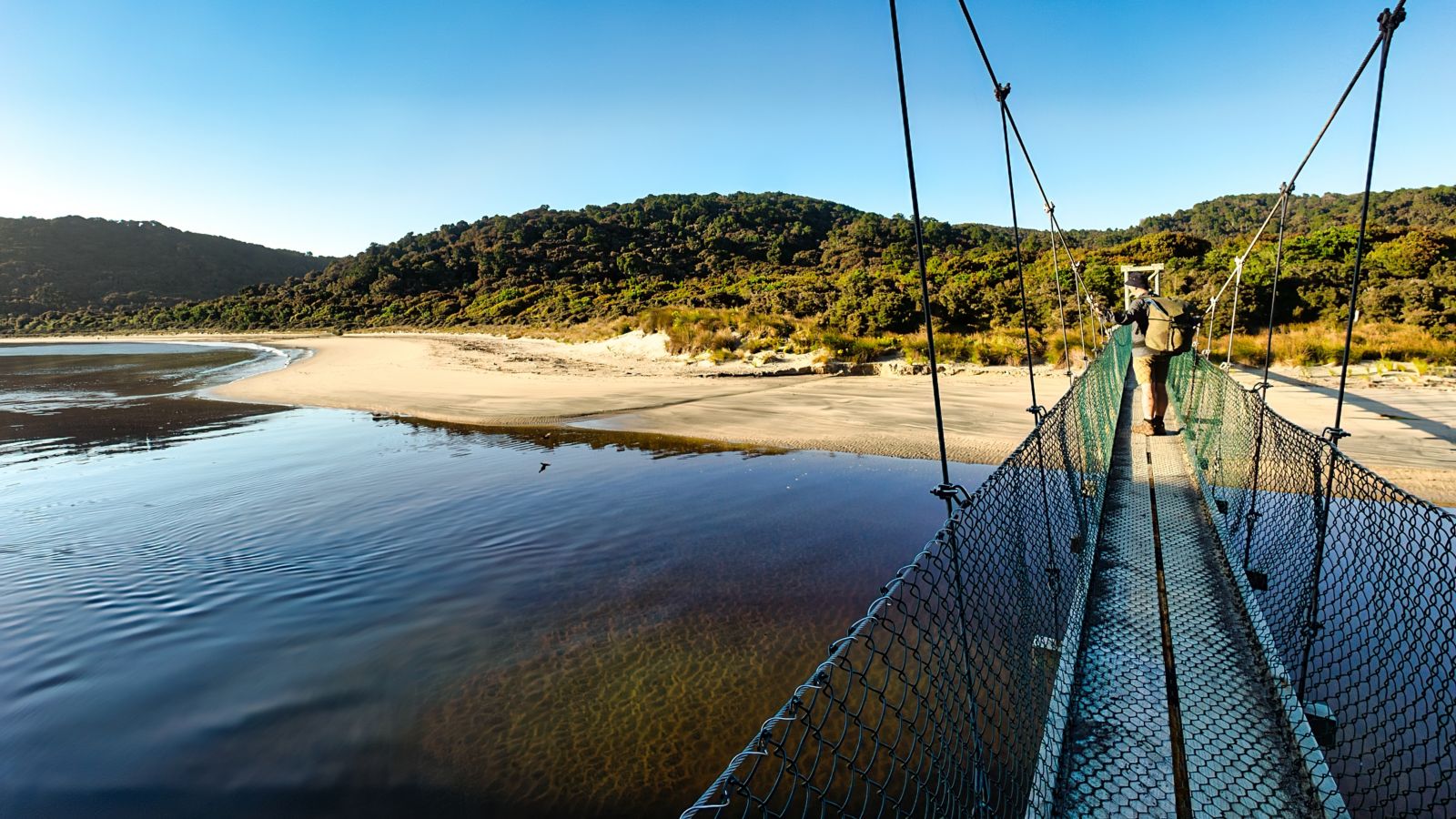 A hiker on a footbridge on the Rakiura Track in New Zealand
