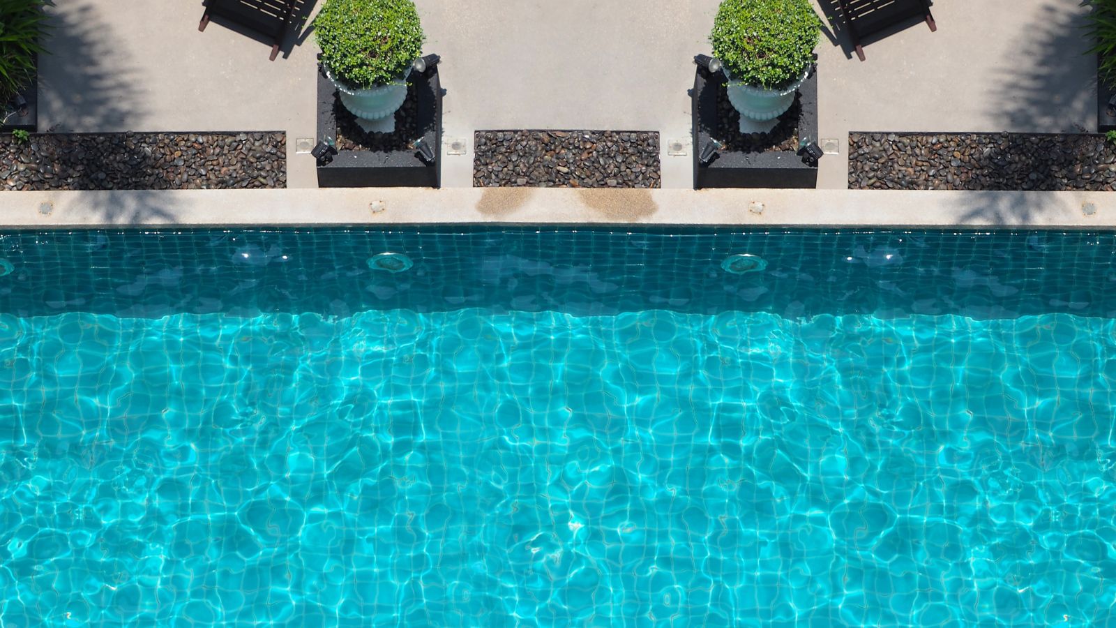 programa de fidelidade