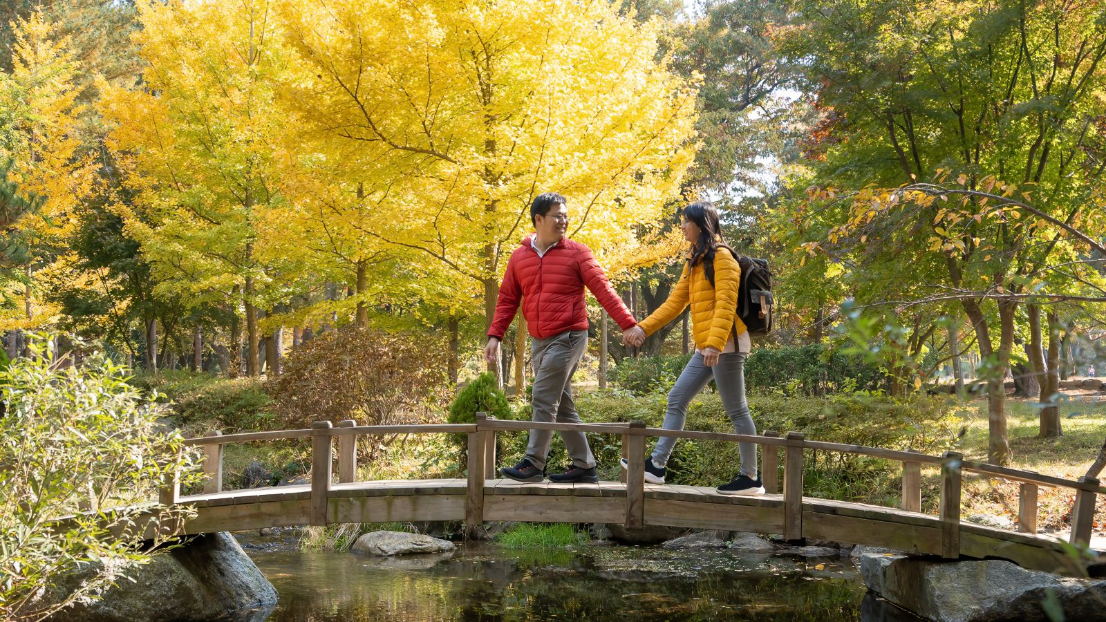 Traveller Guide, Nami Island, Tips, Korea, Autumn, Fall, Petit Prince