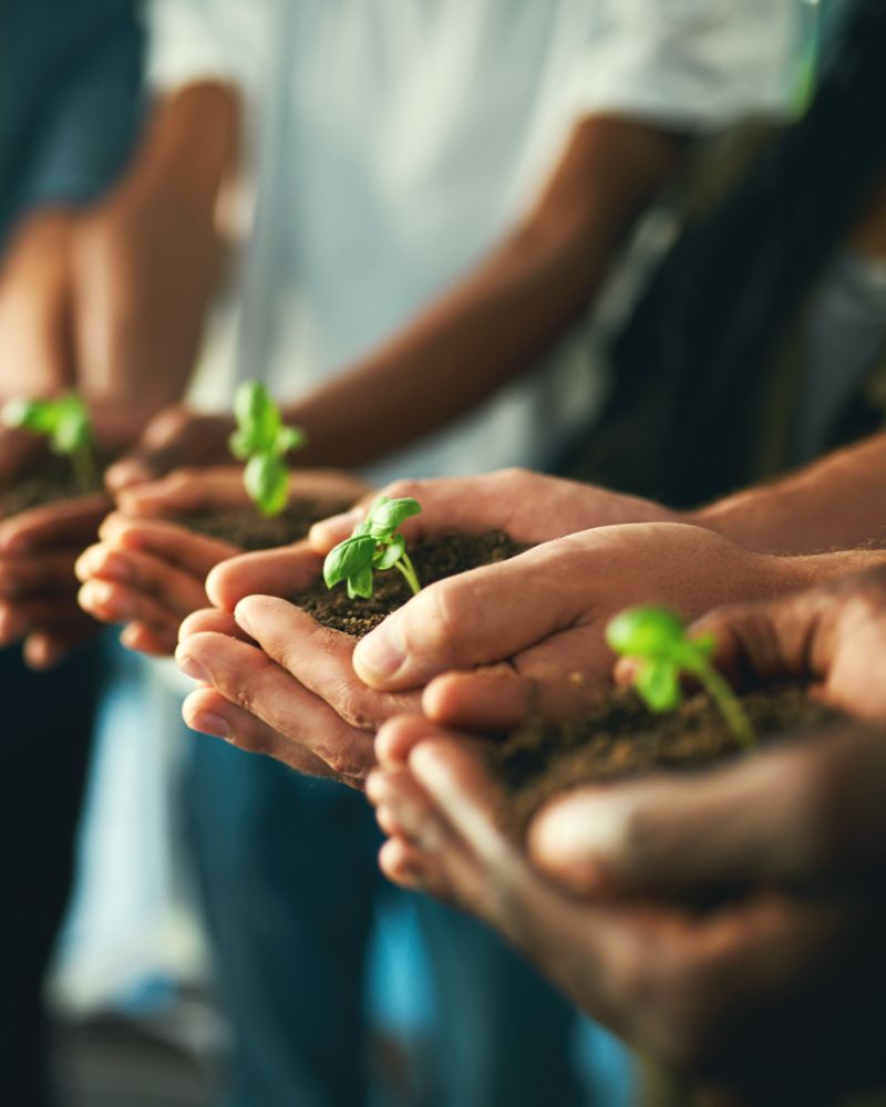 Tornando sua estadia mais ecológica