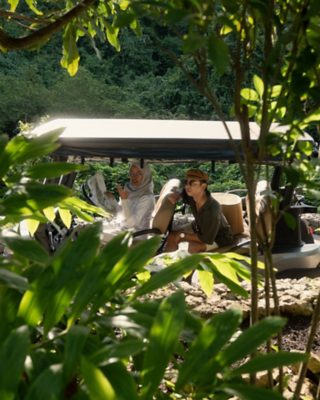 dilla-botanical-tour