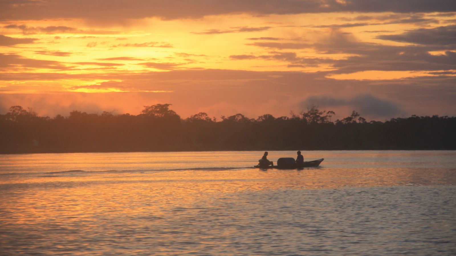 festival folclórico de parintins