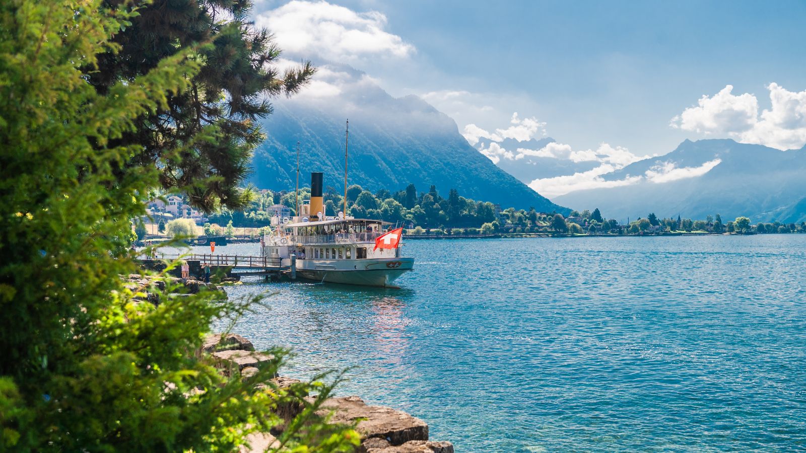 Christmas/tree/Geneva