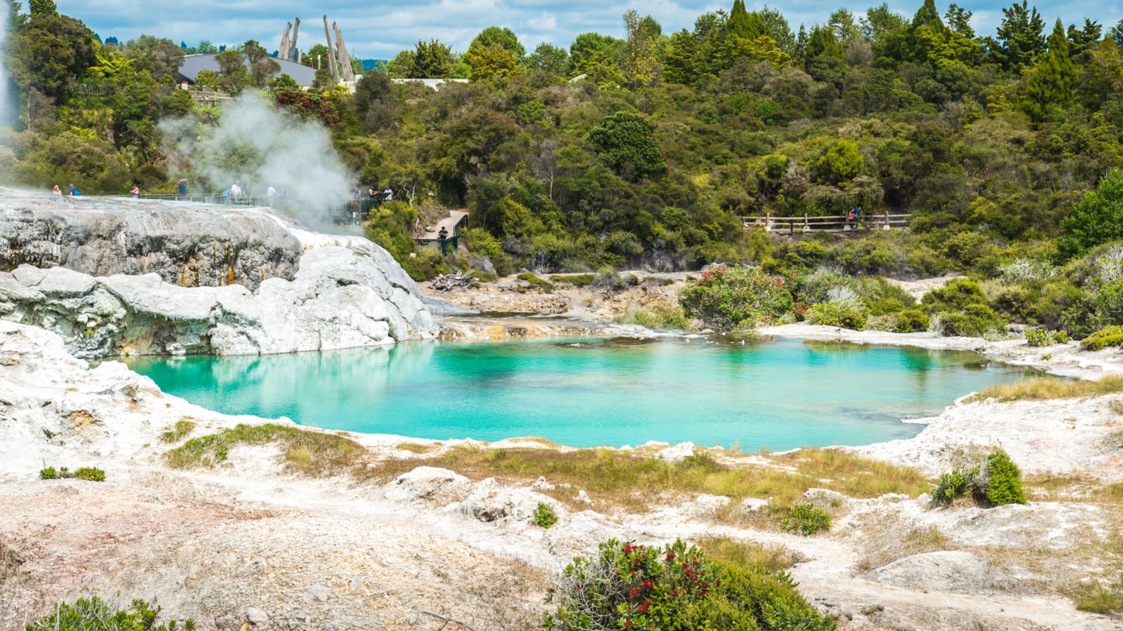 Geothermal hot pool in Rotorua