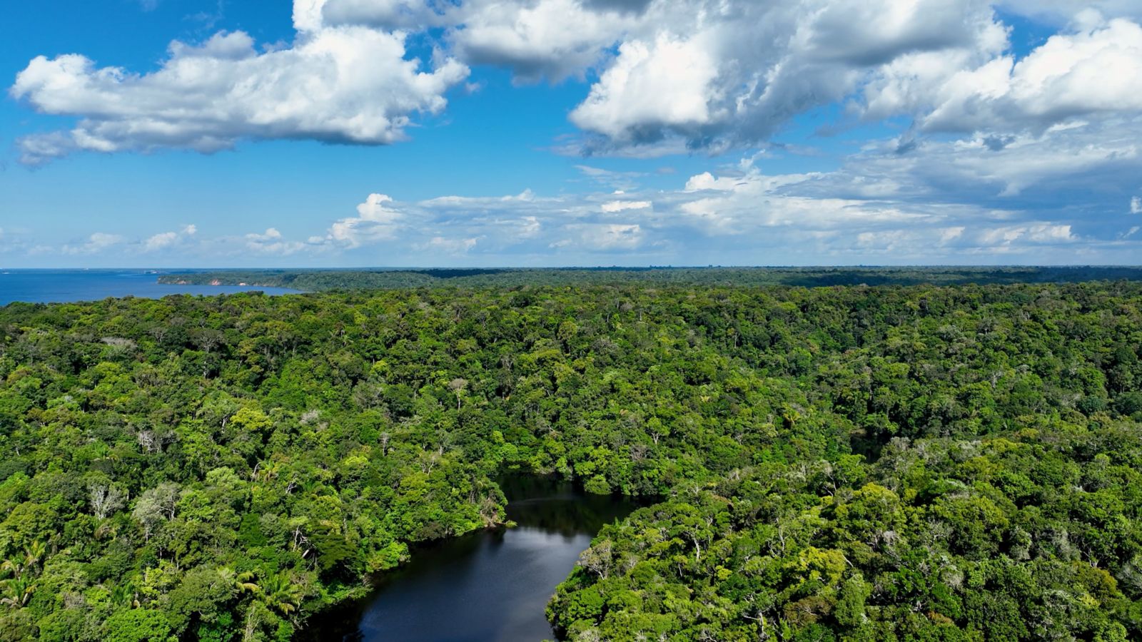 turismo de aventura em manaus