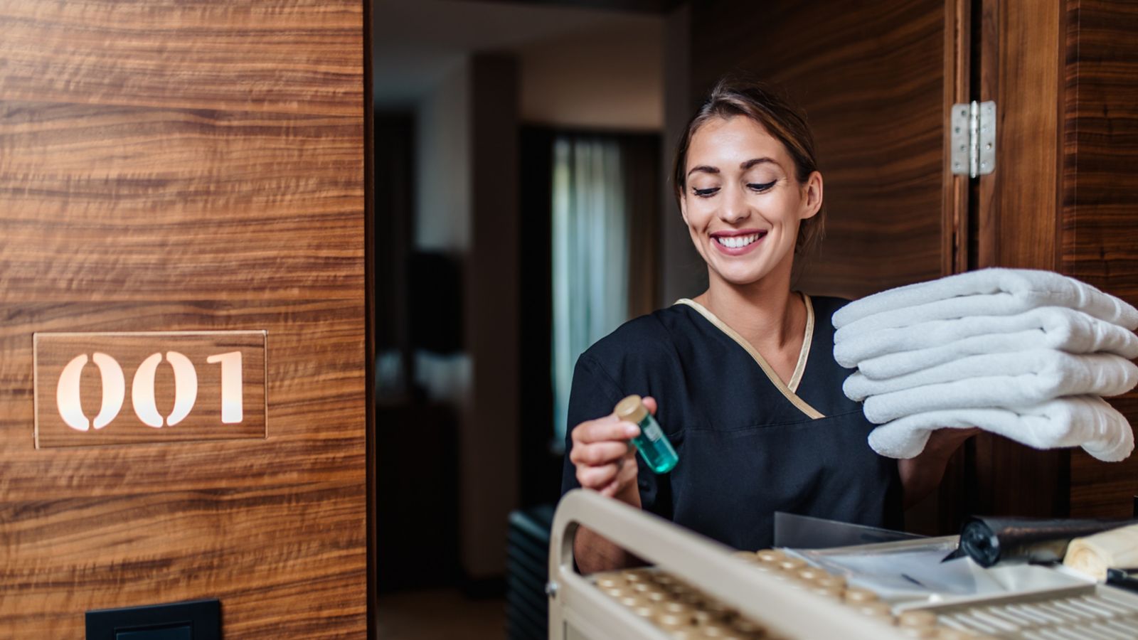 ibis styles dossie da marca