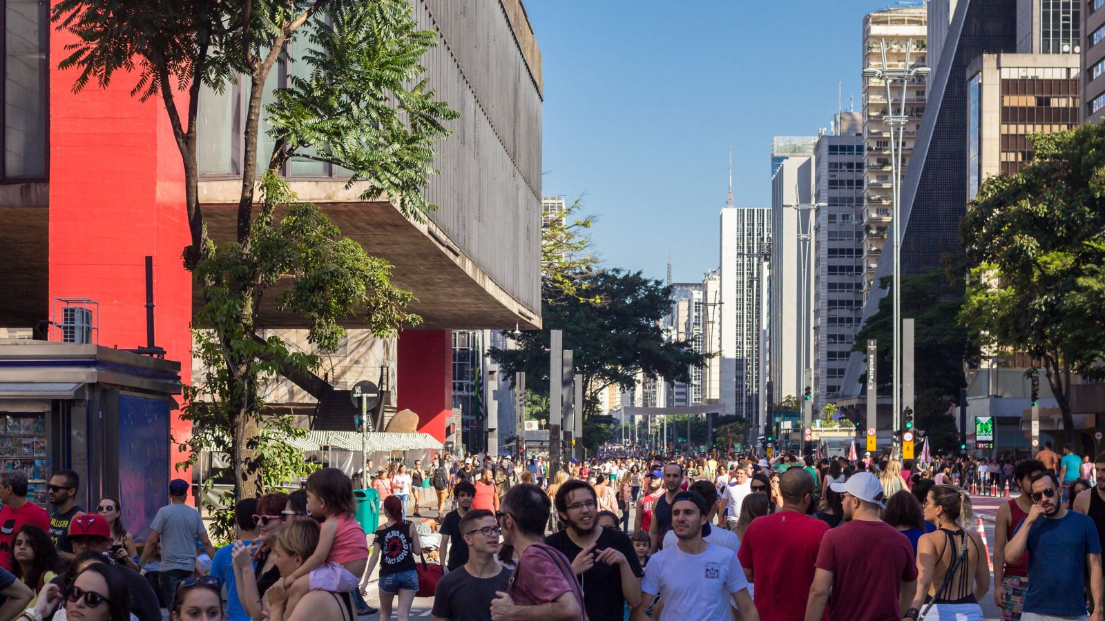 carnaval em são paulo