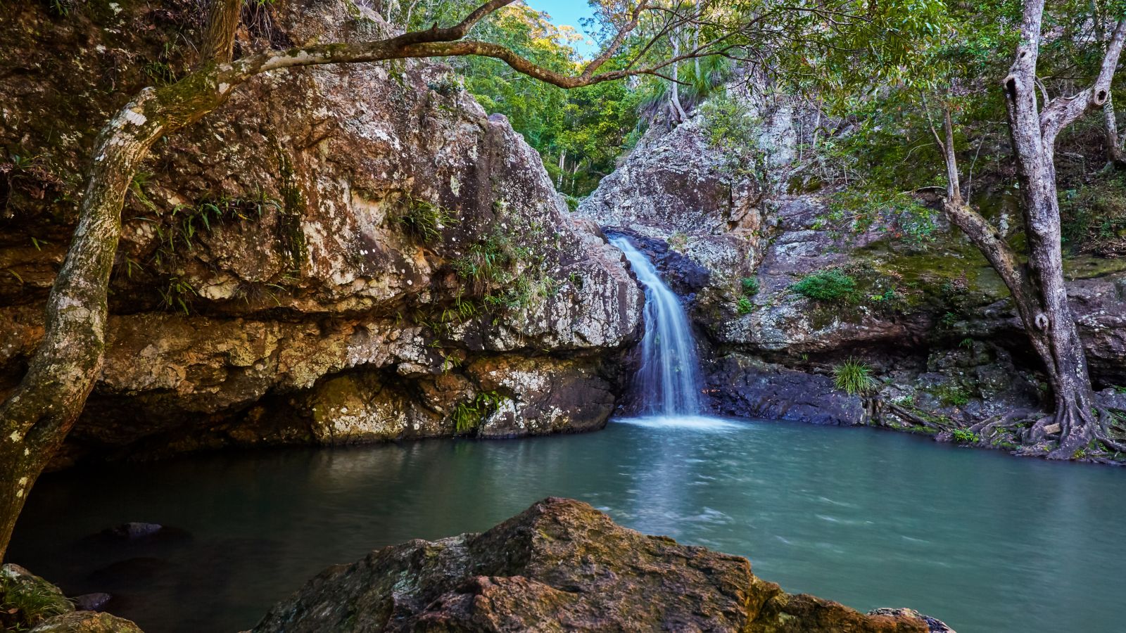 Waterfalls Sunshine Coast, Kondalilla  Falls, Buderim Falls, Gardners Falls