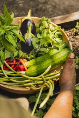 Barefoot Gardening