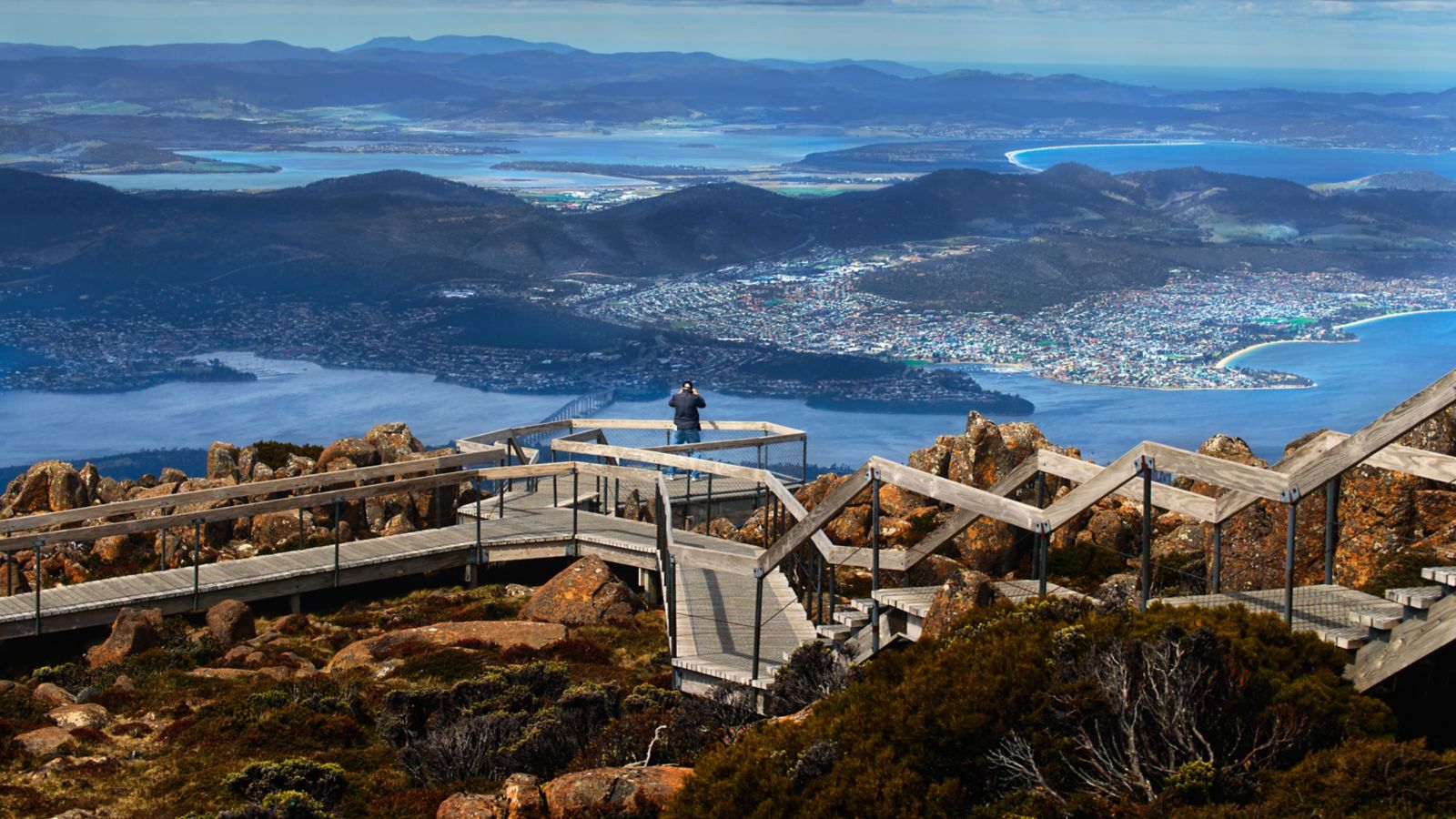Spot wallabies at Cradle Mountain, Tasmania