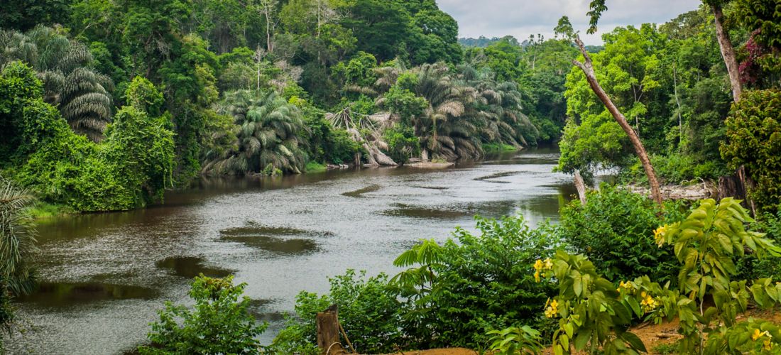 Destination - Cameroon