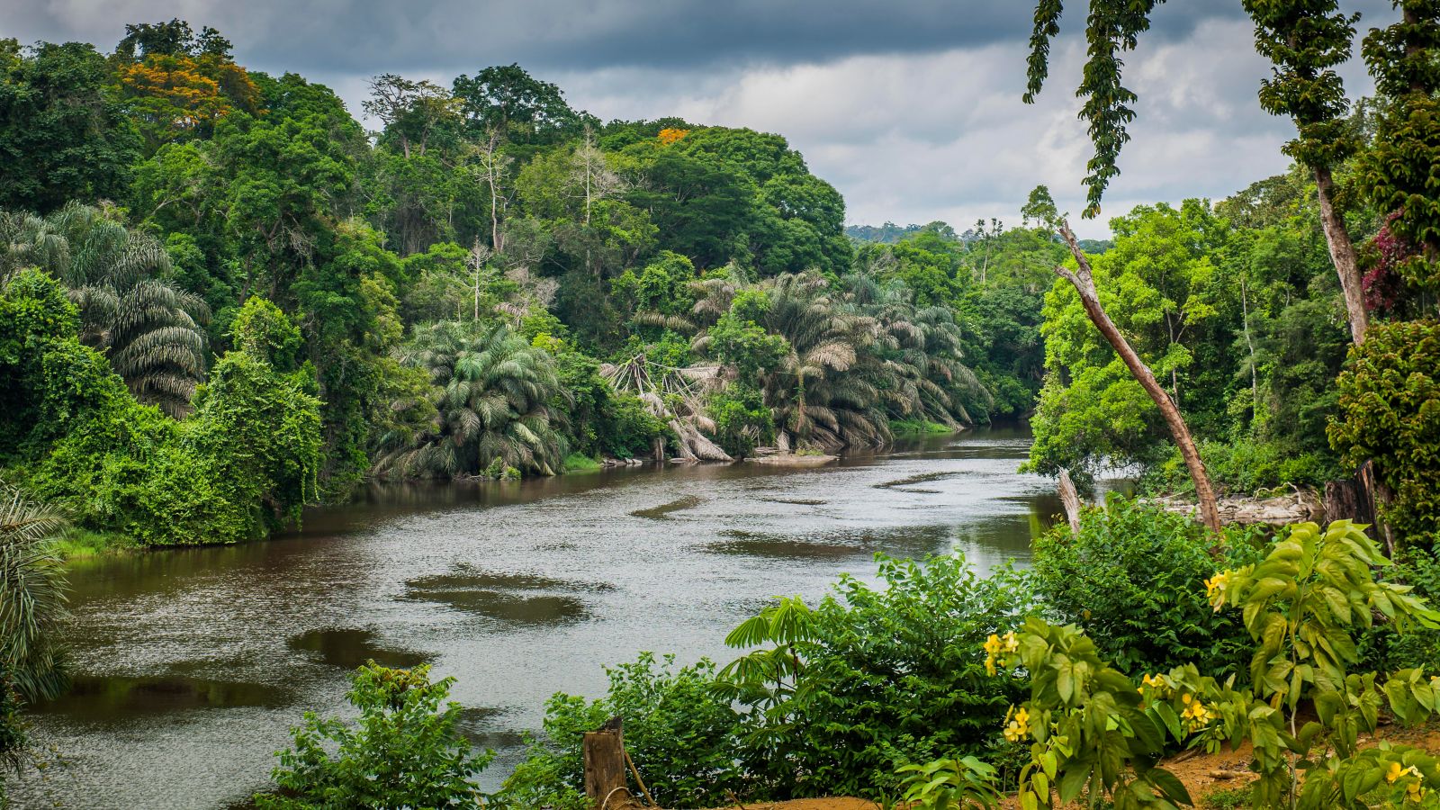 Destination - Cameroon