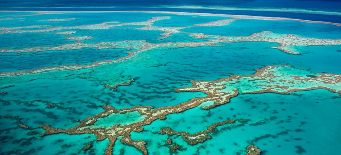Destination Cairns - Australia