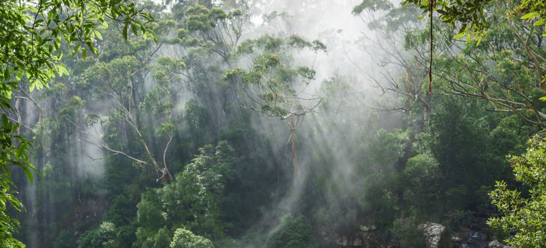 Destination Gold Coast - Australia