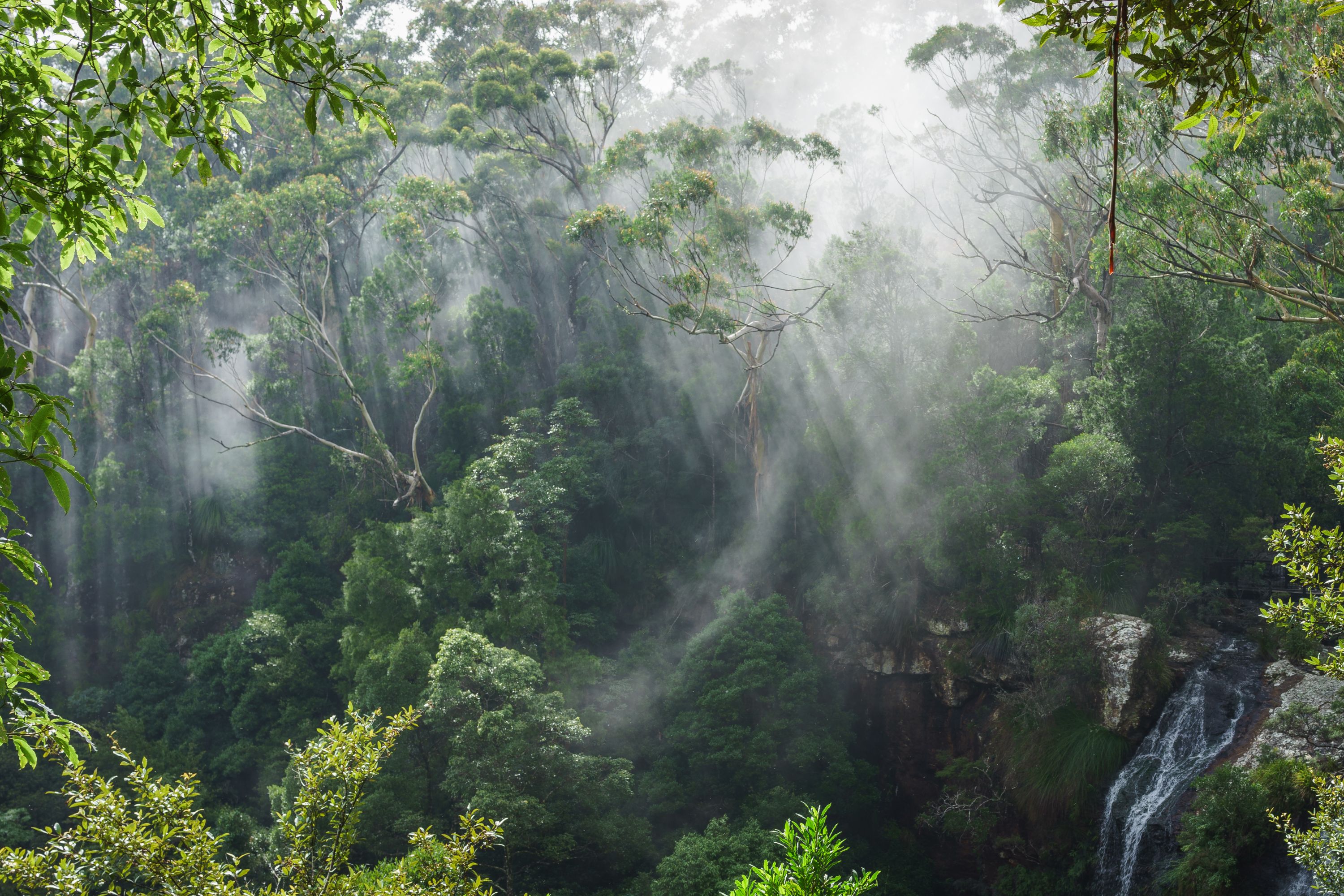 Destination Gold Coast - Australia