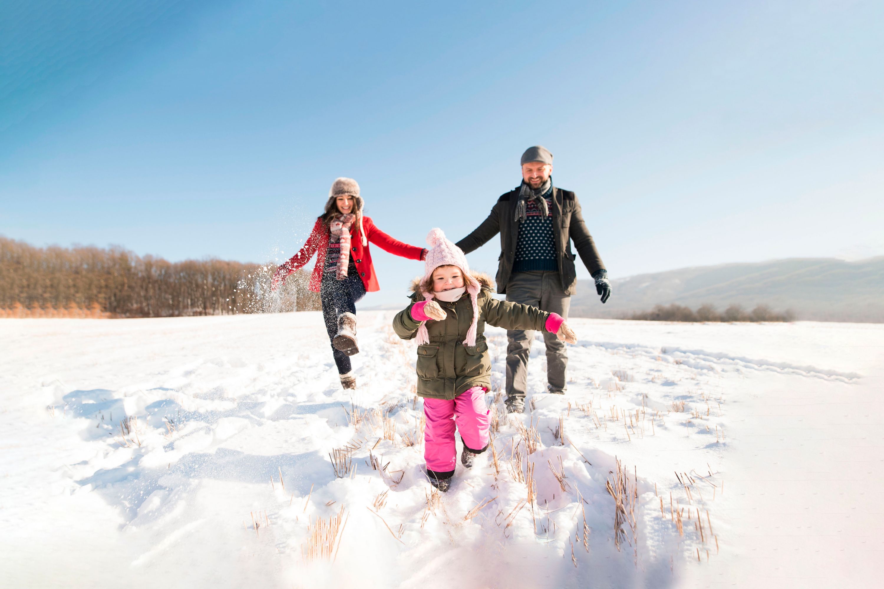 Winter Sale: Up to 20% Off