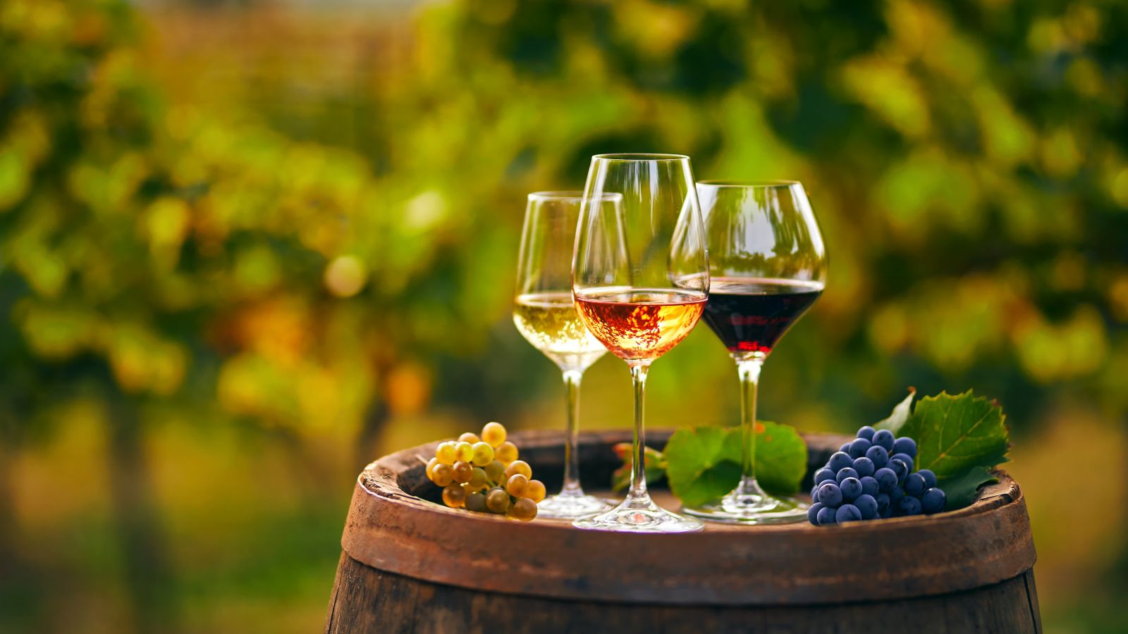 o que fazer em caxias do sul