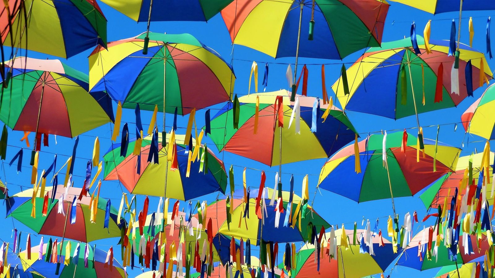 o que fazer em pernambuco 