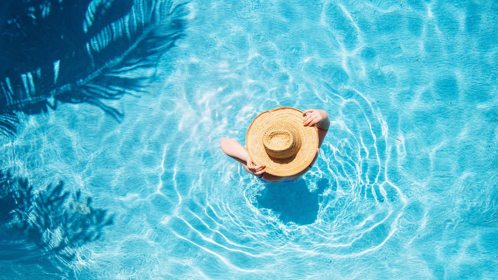 programa de fidelidade