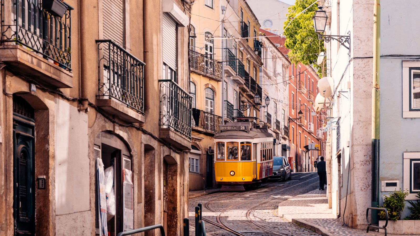 Brussels/gingerbread