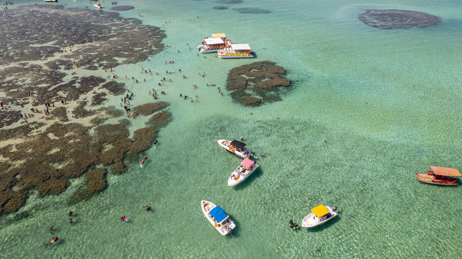 praias do litoral norte de alagoas